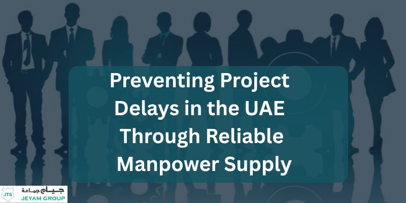 Manpower Supply
