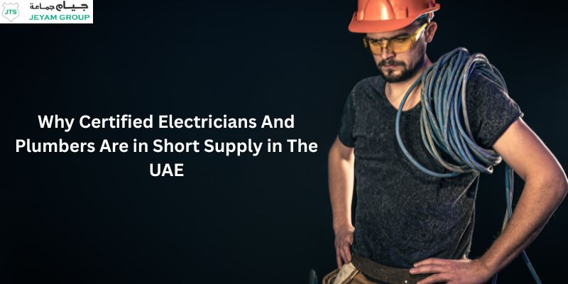 Manpower Supply in Dubai